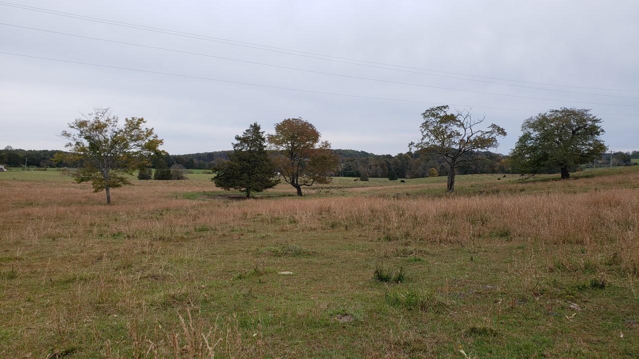 1400 Etna Road Eubank, KY 42567 - Photo 9 of 11 7