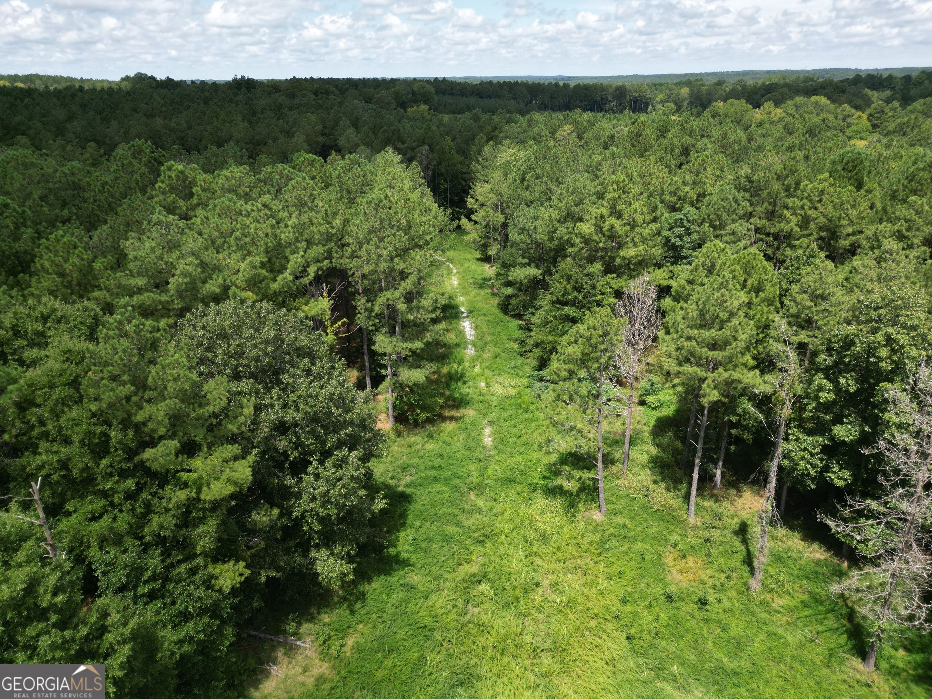 111-acres Lillian Strong Road Carlton, GA 30627 - Photo 1 of 29 Gallery Image 1