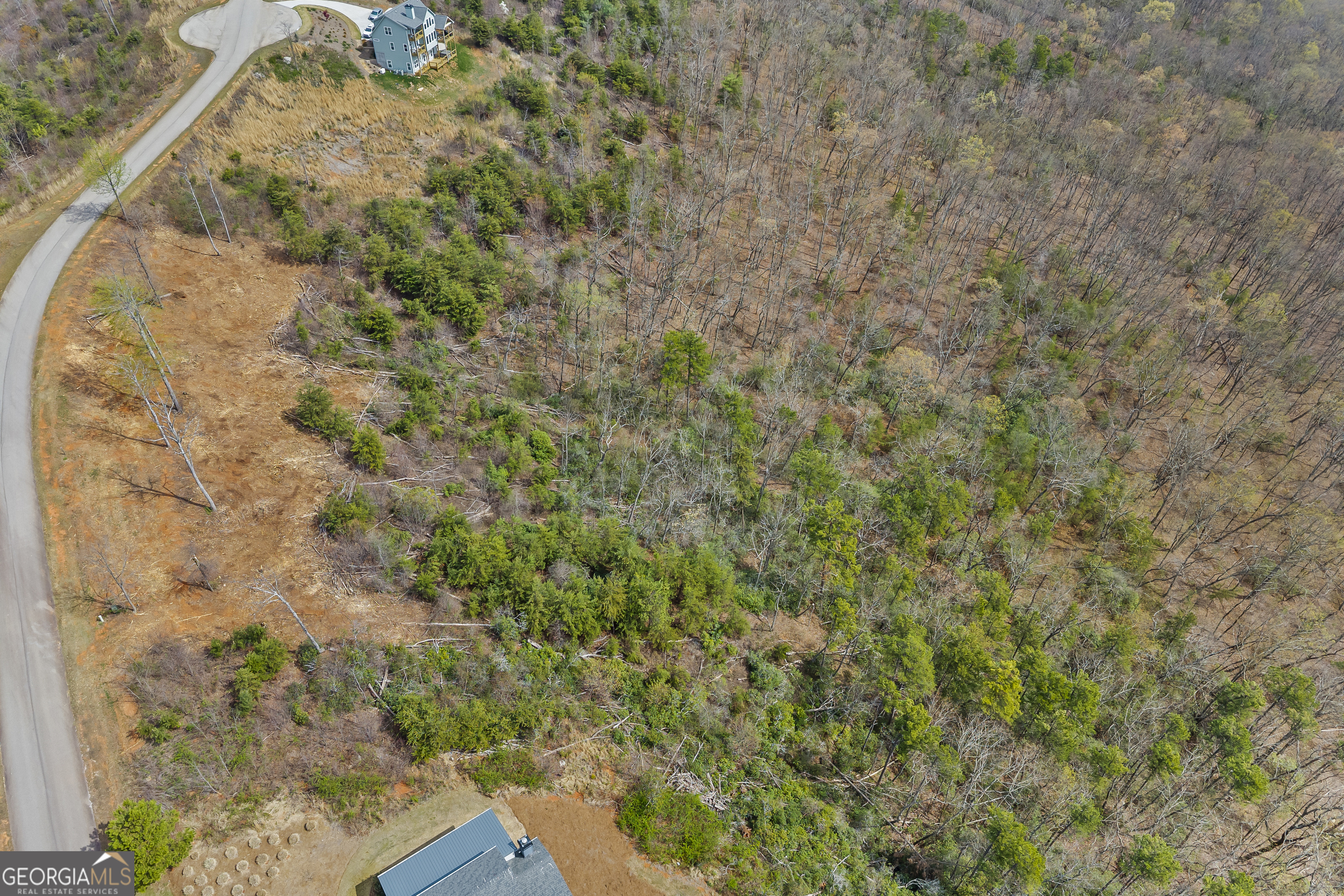 Lot 36 Mountain Ridge Drive Clarkesville, GA 30523 - Photo 35 of 53