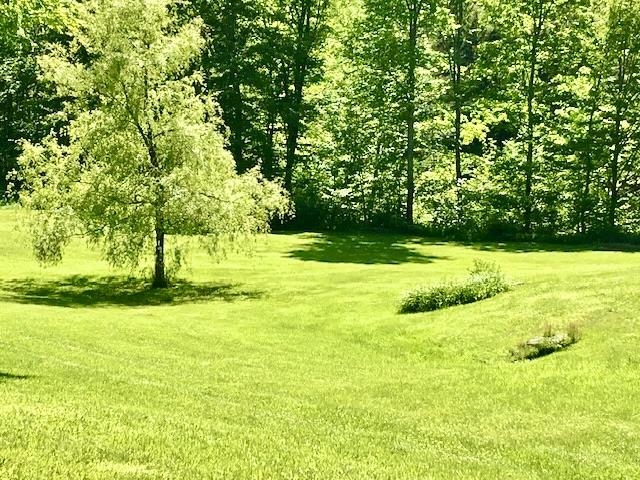6963 S Road Woodstock, VT 05071 - Photo 33 of 40