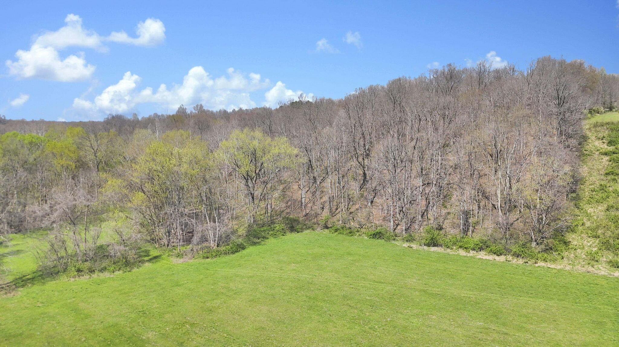 0 Covered Bridge Road Vinton, OH 45686 - Photo 25 of 37