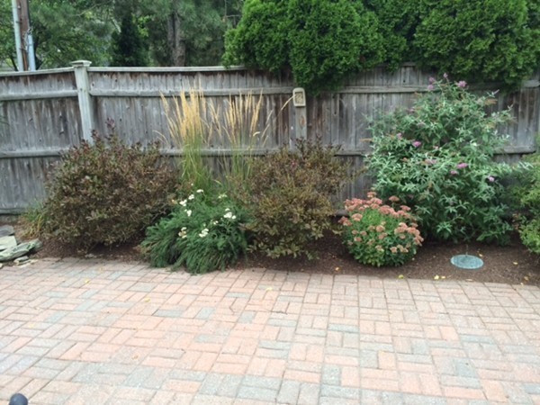 5 Leicester Road Marblehead, MA 01945 - Photo 27 of 30 a view of a backyard with plants and large trees