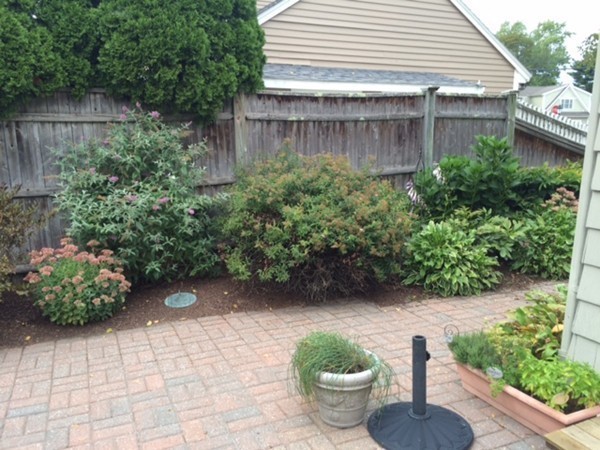 5 Leicester Road Marblehead, MA 01945 - Photo 28 of 30 a backyard of a house with plants and outdoor seating
