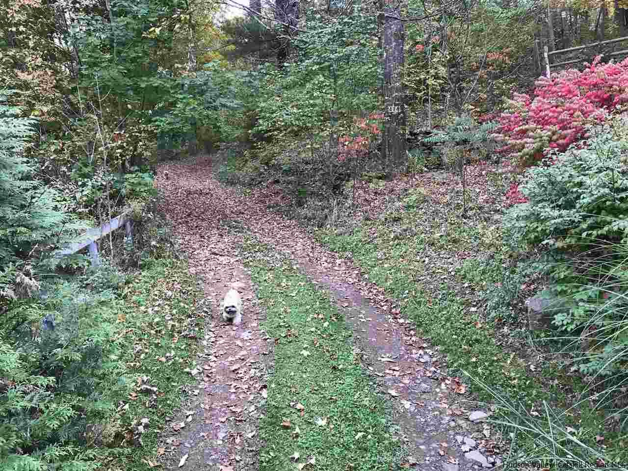 414 Halcottsville Road Halcottsville, NY 12438 - Photo 11 of 12 Photo 11