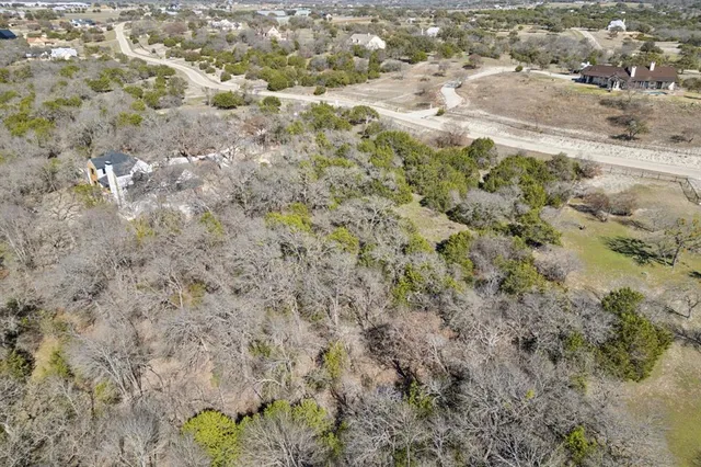 a view of a forest with a street