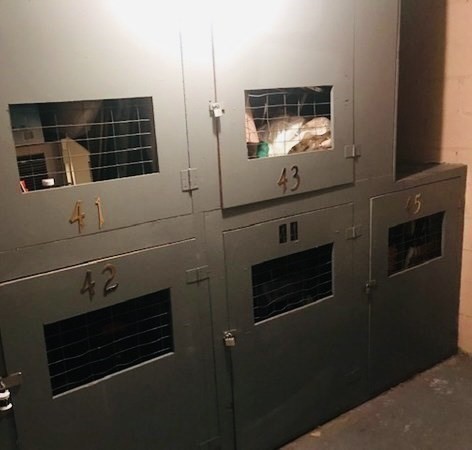 366 Elliot Street, Unit 9 Newton, MA 02464 - Photo 8 of 10