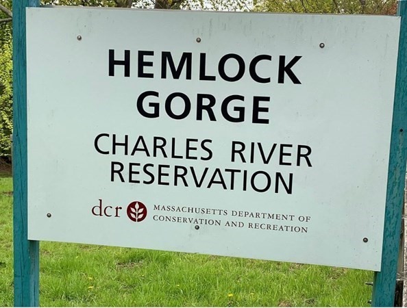 366 Elliot Street, Unit 9 Newton, MA 02464 - Photo 10 of 10