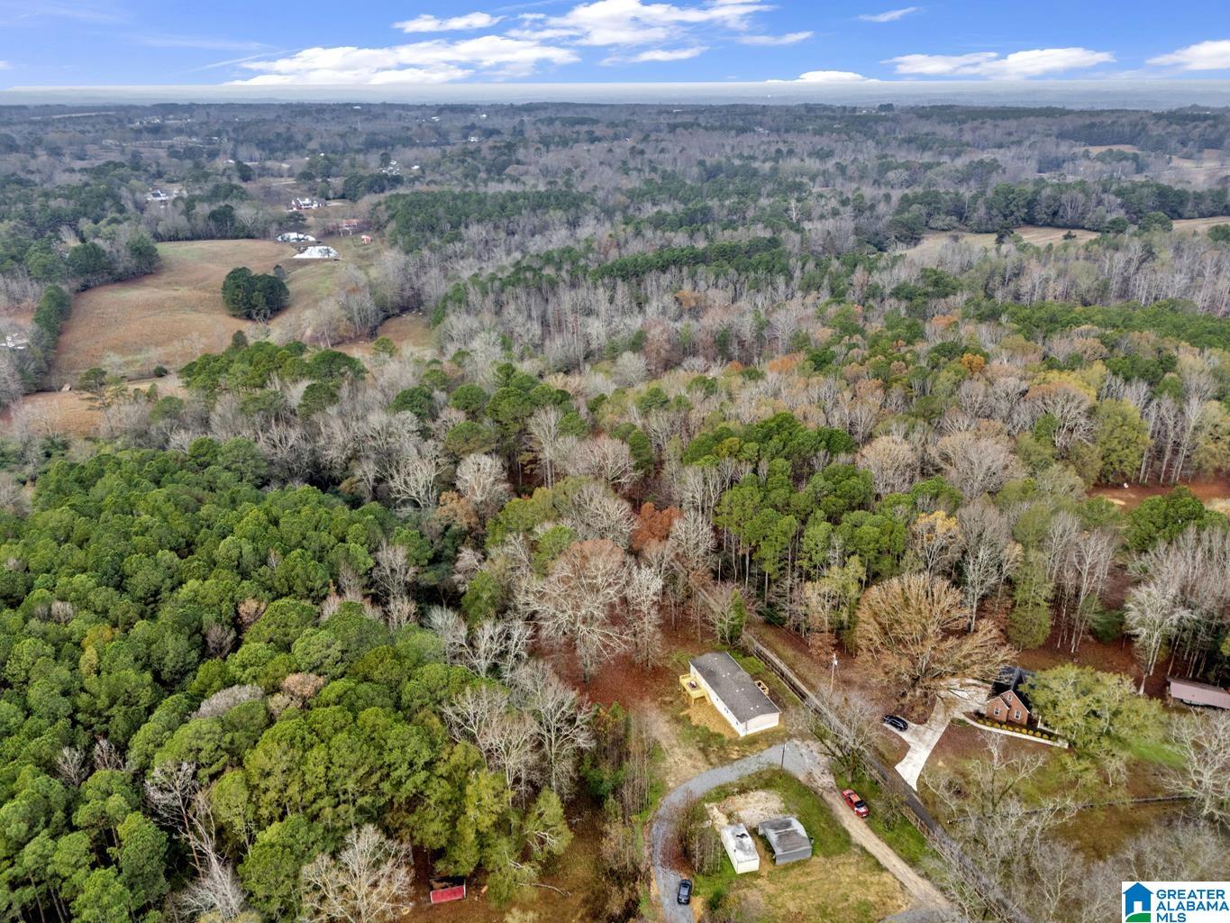 9722 Corner School Road Warrior, AL 35180 - Photo 39 of 43