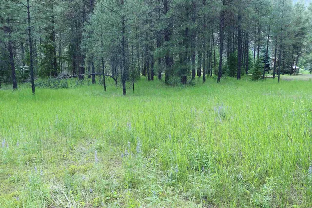 $99,900 | 3733C Sand Creek Road, Kettle Falls, WA 99141