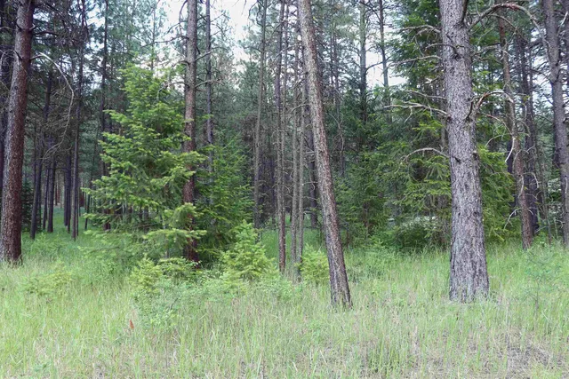 $99,900 | 3733C Sand Creek Road, Kettle Falls, WA 99141