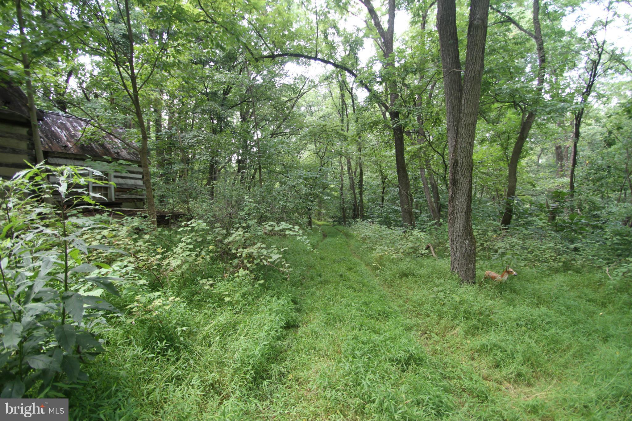 Branch River Road Purcellville, VA 20132 - Photo 5 of 5 View