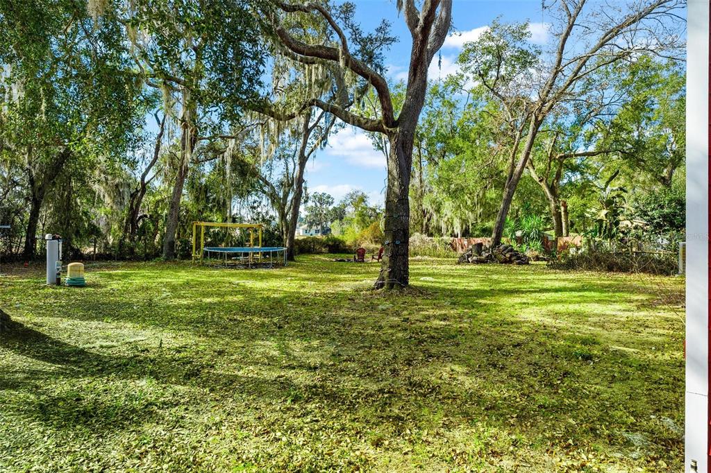 10616 Poe Street Leesburg, FL 34788 - Photo 47 of 54 a view of a trees in a park