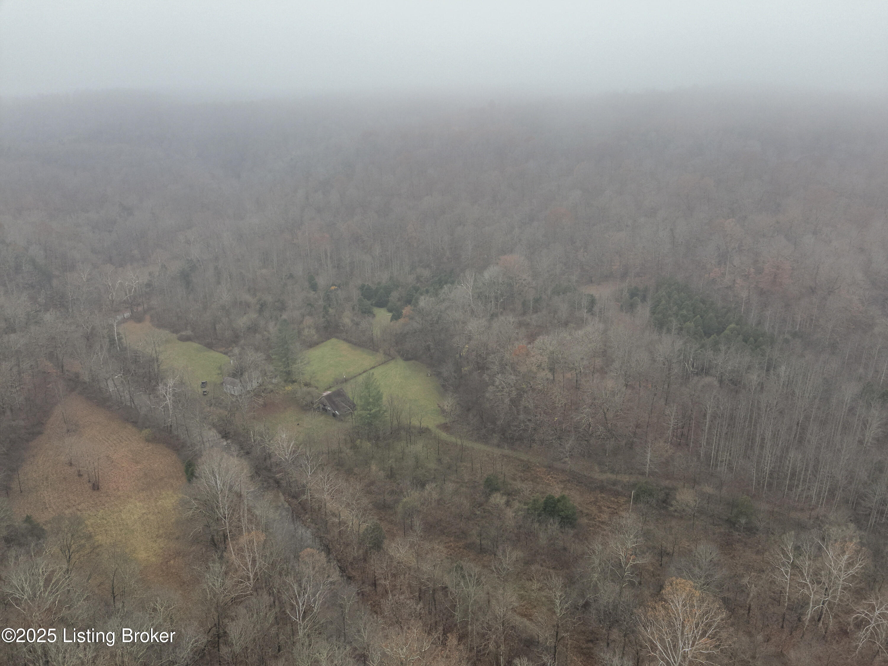 3095 Herbert Howell Road Hodgenville, KY 42748 - Photo 29 of 80 17-DJI_20251119122542_0011_W