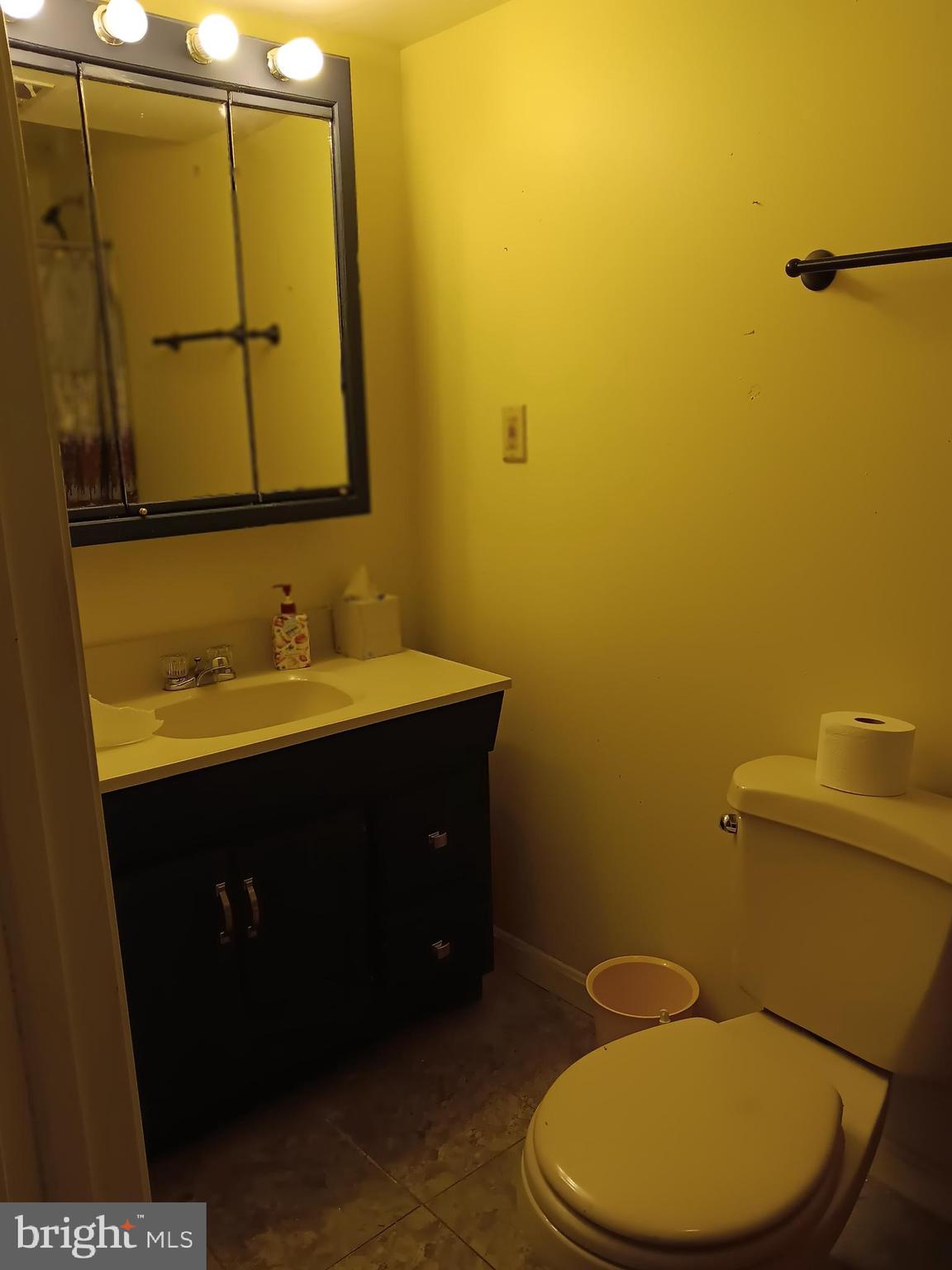 246 Canfield Terrace Frederick, MD 21702 - Photo 26 of 27 Lower Level Bath