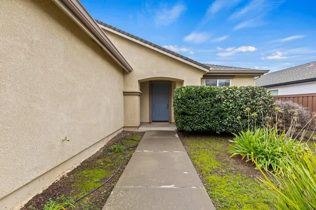 a view of a backyard with potted plants