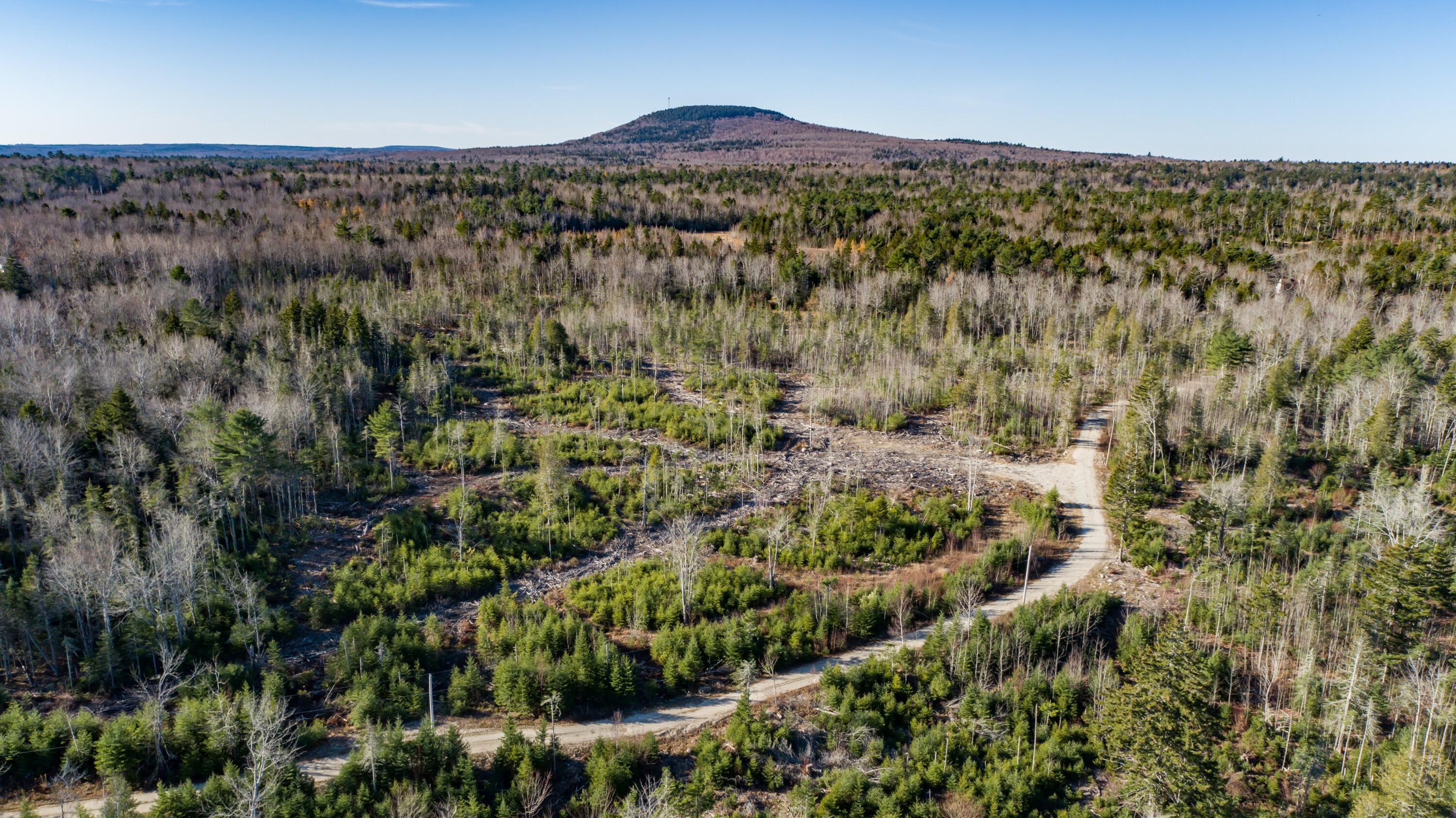 29-52a Ellsworth Road Blue Hill, ME 04614 - Photo 6 of 12 50 Acres