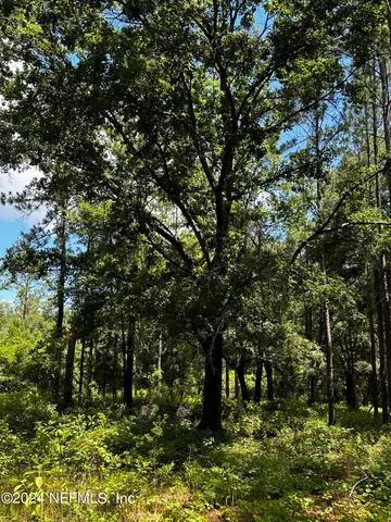a backyard of a house with lots of green space