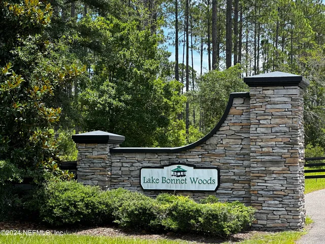 a view of a backyard with plants