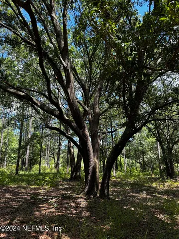 a view of a yard with a tree
