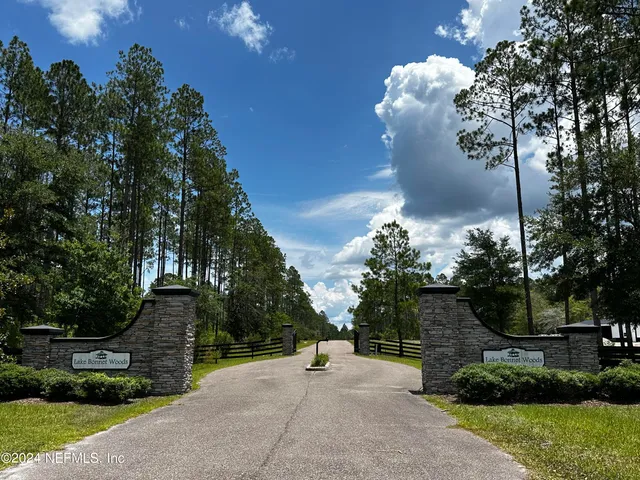 a view of a park with plants and large trees