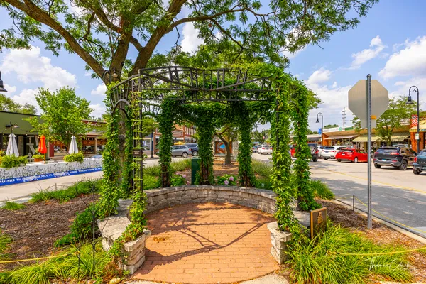 a view of a garden with a bench in the patio