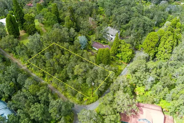 a view of a lush green forest with lots of trees