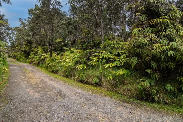 a picture of flowers