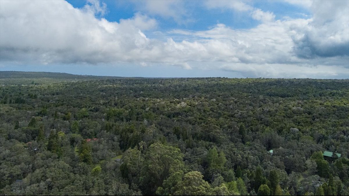 162 Maile Avenue Volcano, HI 96785 - Photo 16 of 19 an aerial view of residential building and trees