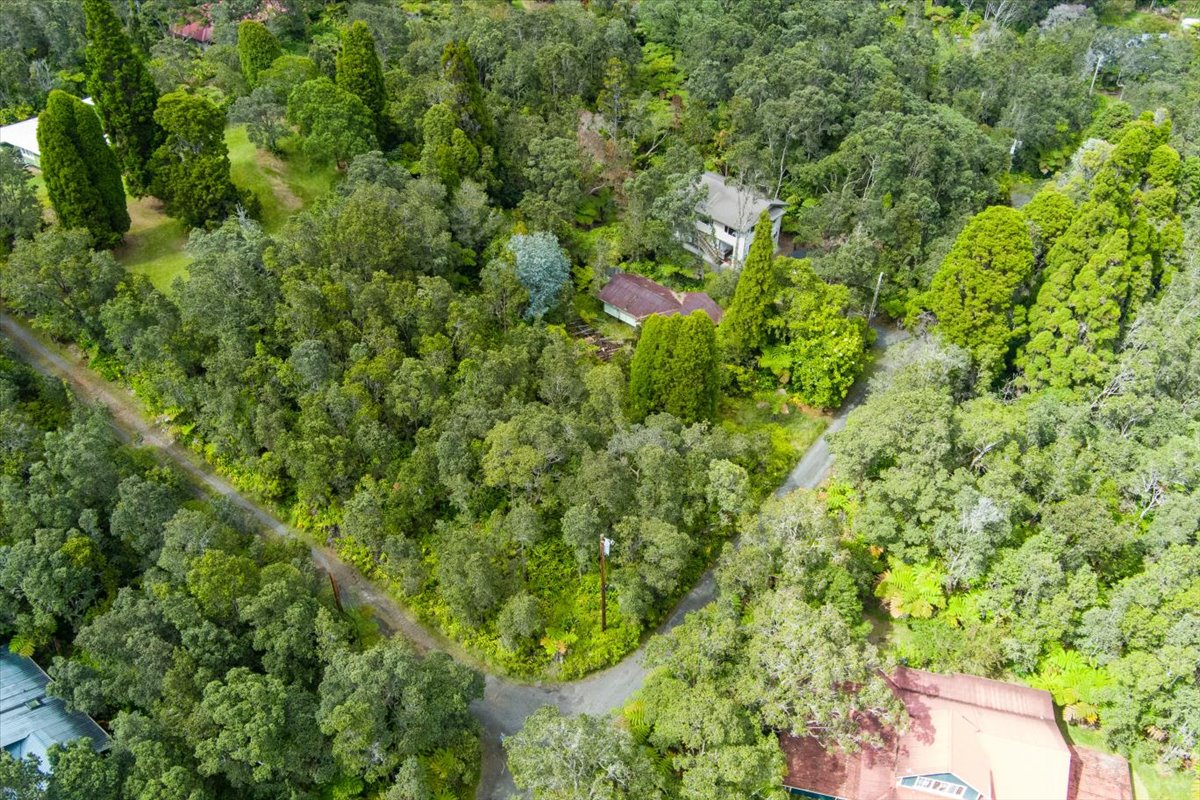 162 Maile Avenue Volcano, HI 96785 - Photo 2 of 19 a view of a lush green forest with a tree