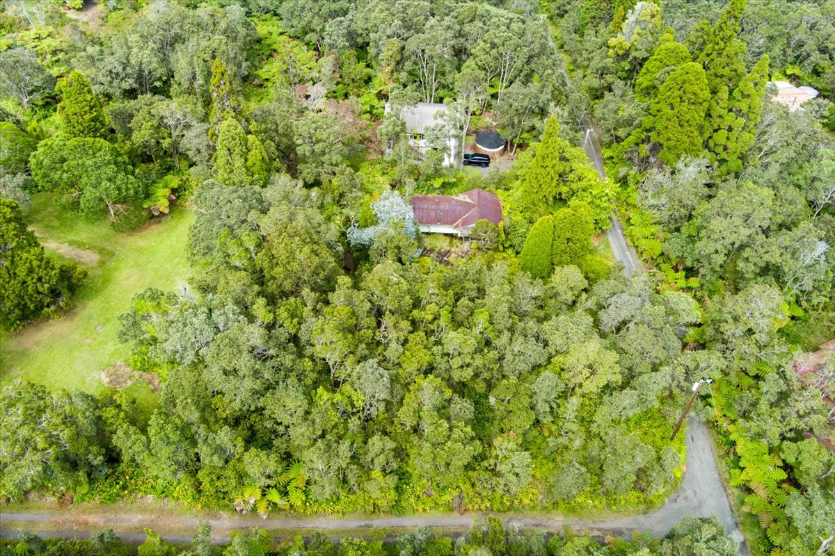 162 Maile Avenue Volcano, HI 96785 - Photo 5 of 19 a view of a yard with plants