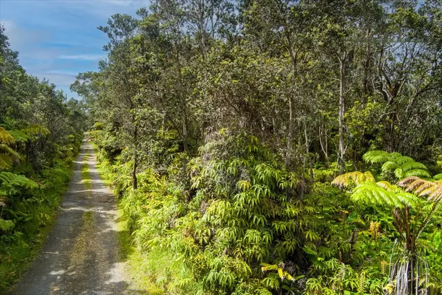a view of a plant with a plant