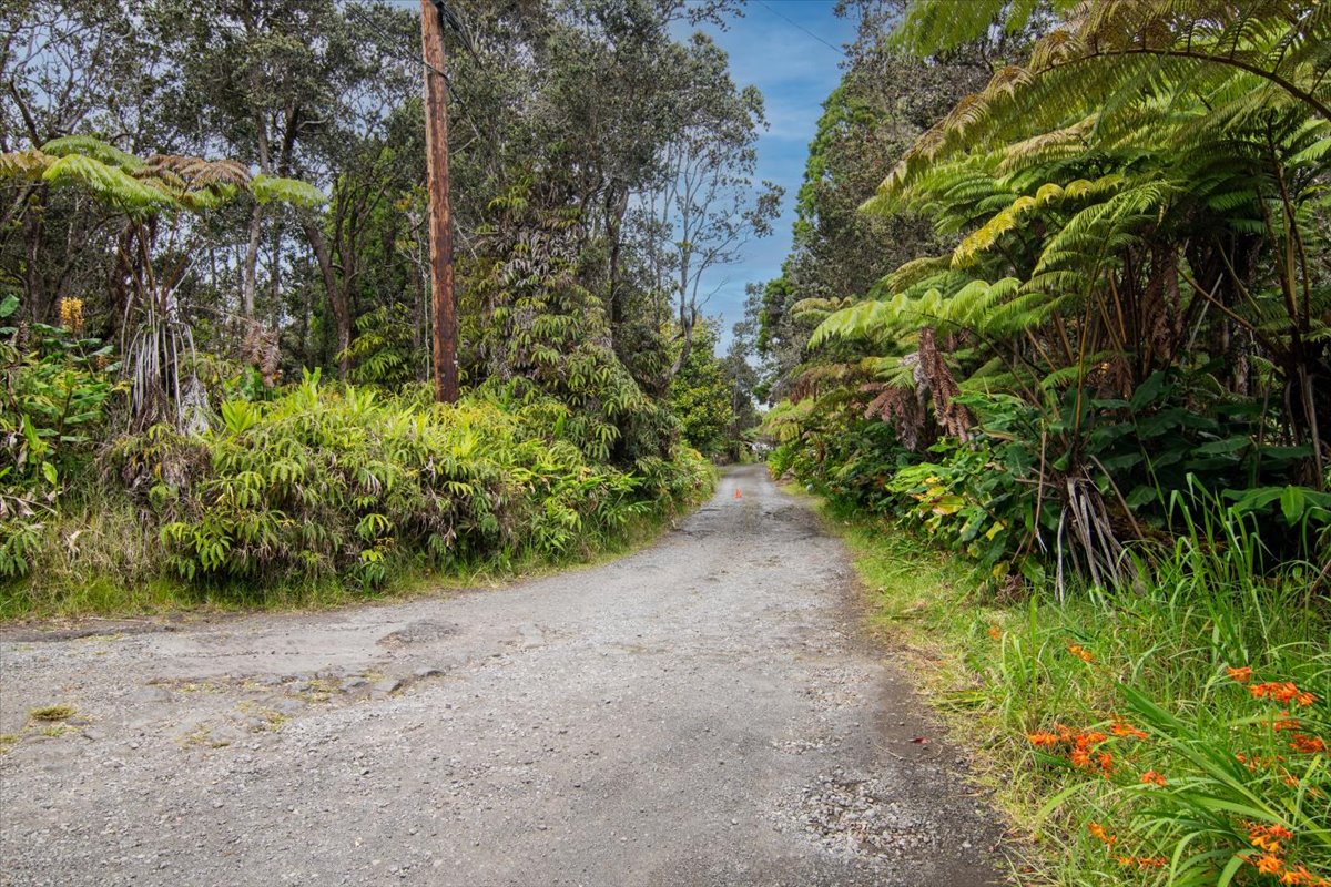 162 Maile Avenue Volcano, HI 96785 - Photo 10 of 19 a view of a plants with large trees