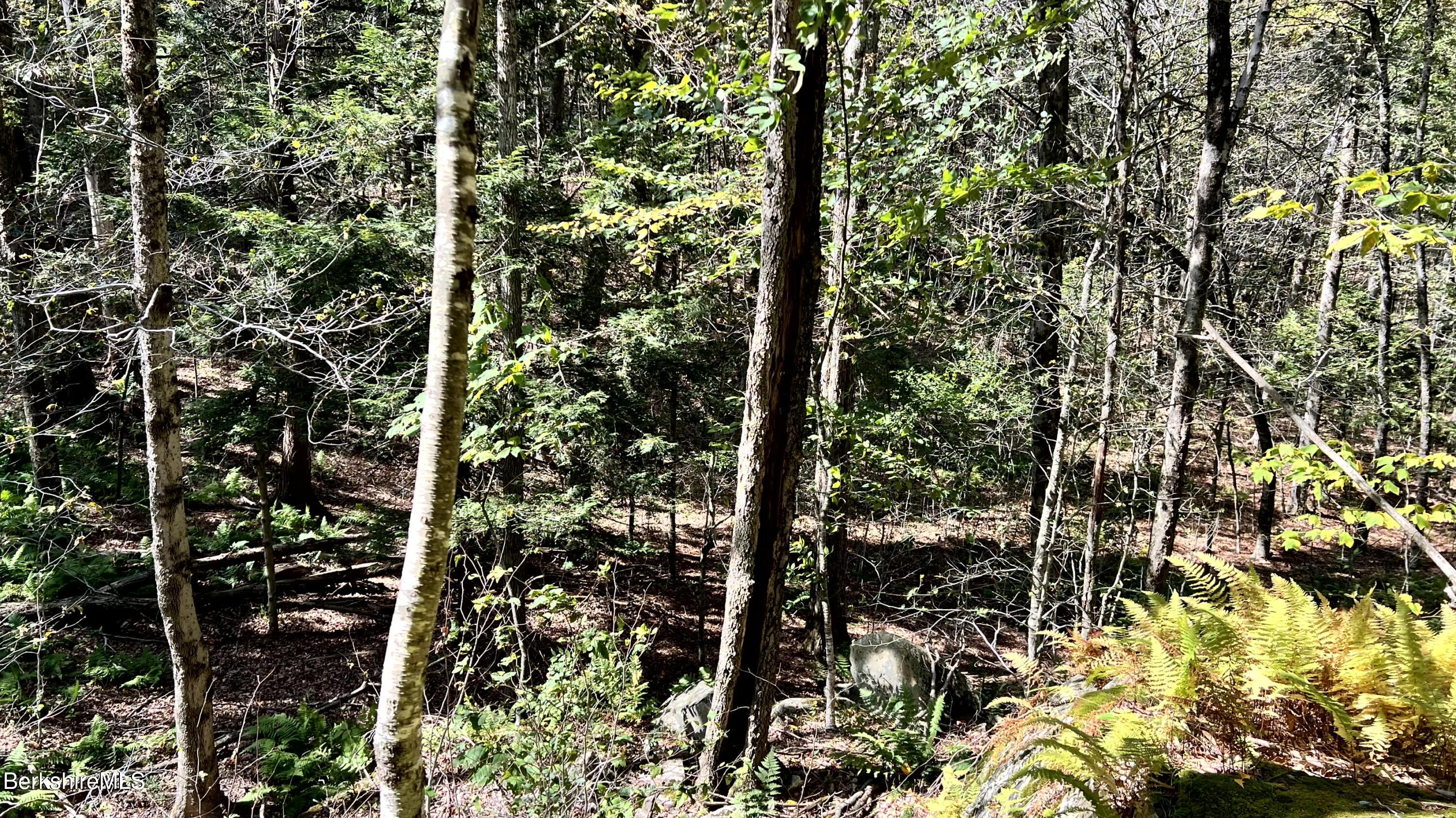 8 Hemlock Road Tyringham, MA 01264 - Photo 12 of 31 IMG_6934