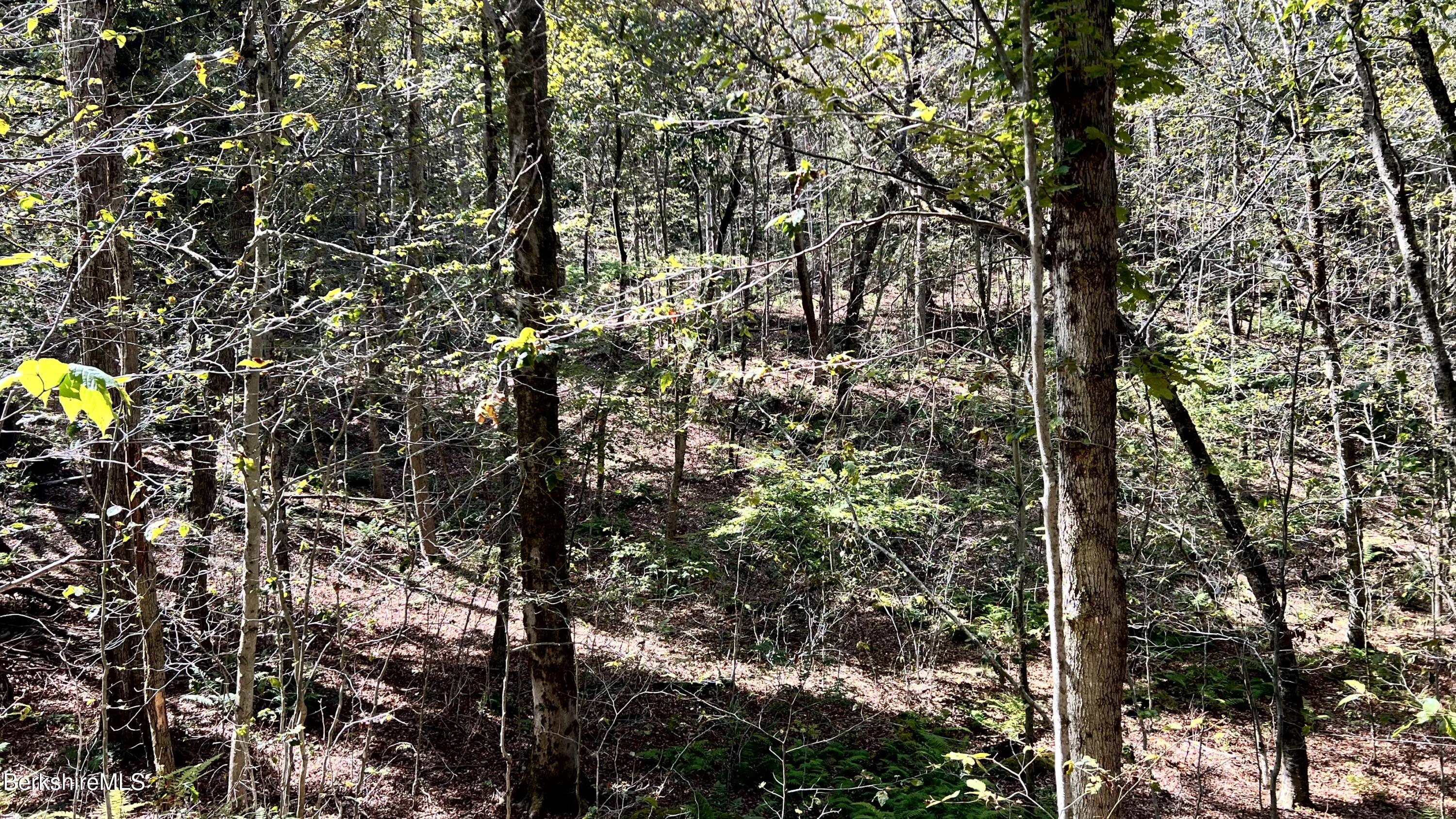 8 Hemlock Road Tyringham, MA 01264 - Photo 14 of 31 IMG_6932