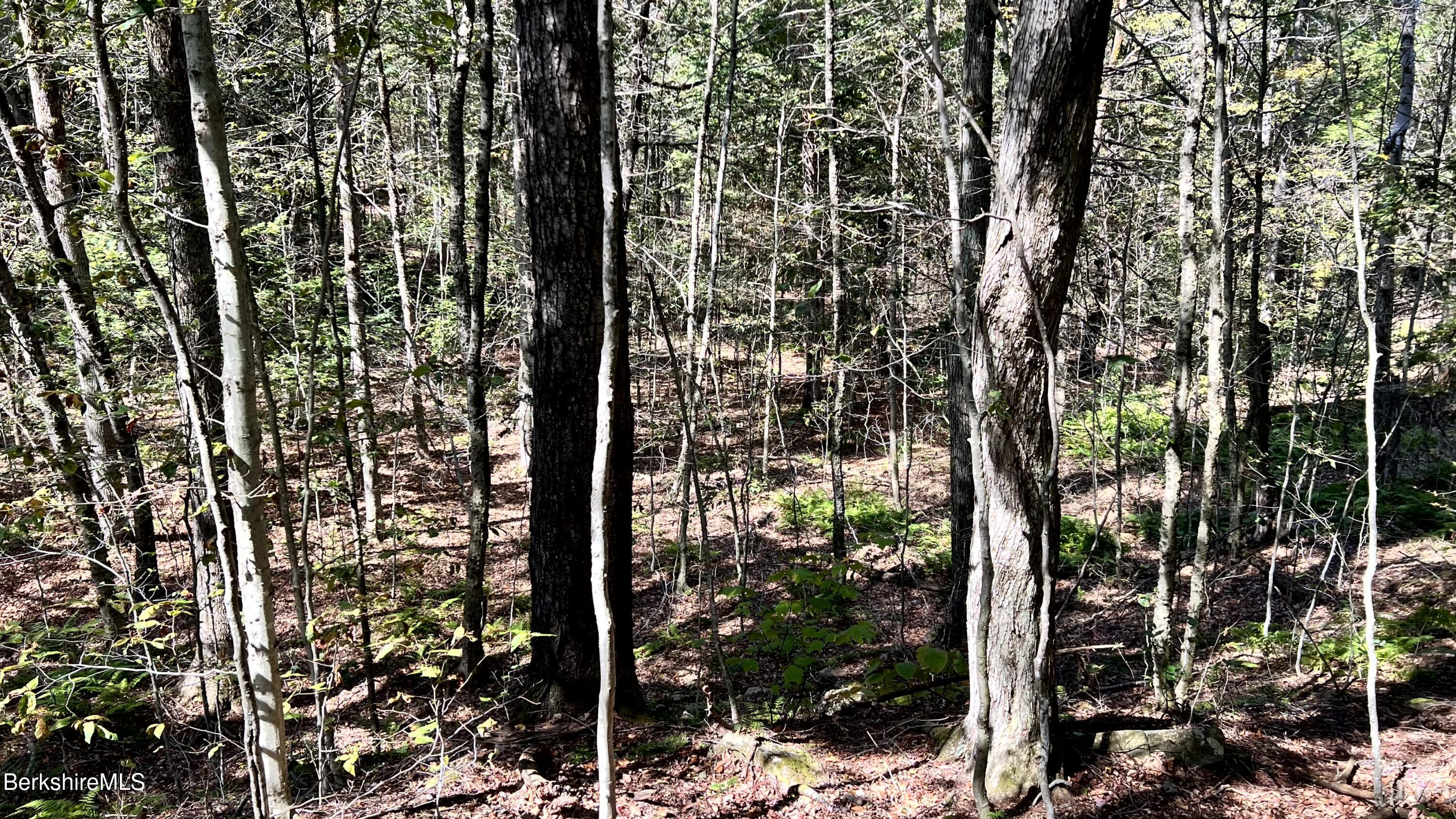 8 Hemlock Road Tyringham, MA 01264 - Photo 15 of 31 IMG_6931