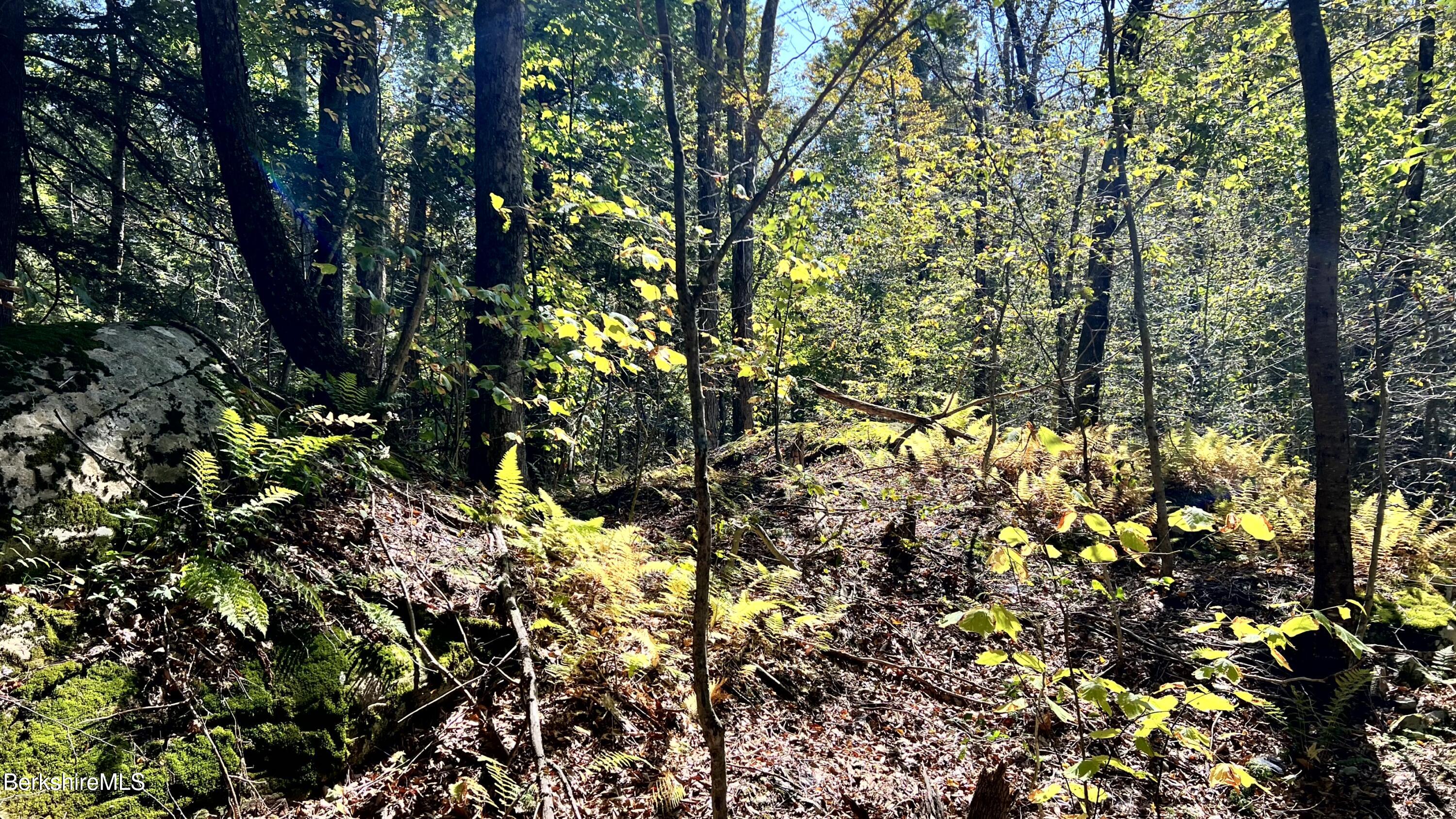 8 Hemlock Road Tyringham, MA 01264 - Photo 16 of 31 IMG_6930