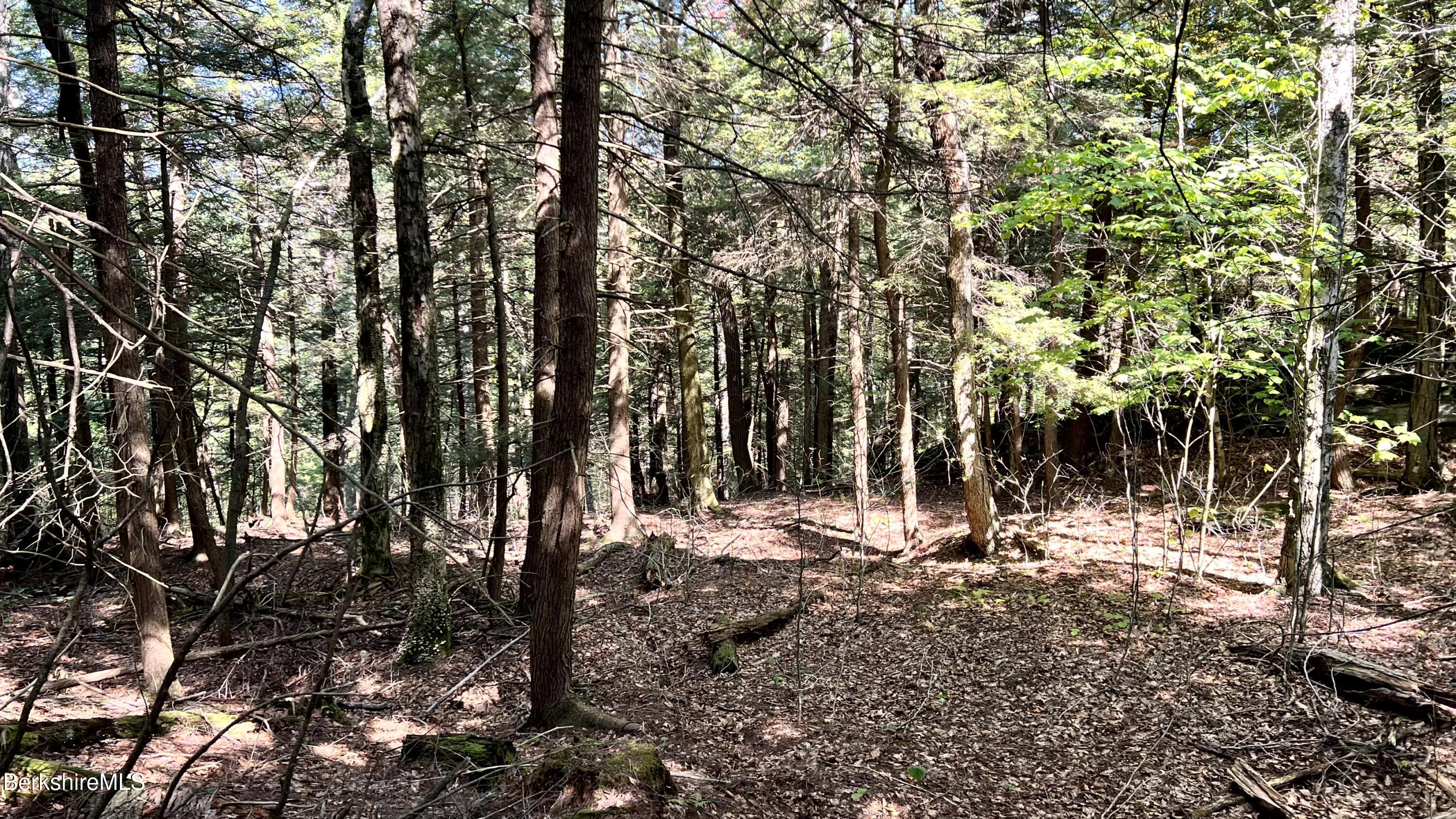 8 Hemlock Road Tyringham, MA 01264 - Photo 17 of 31 IMG_6929