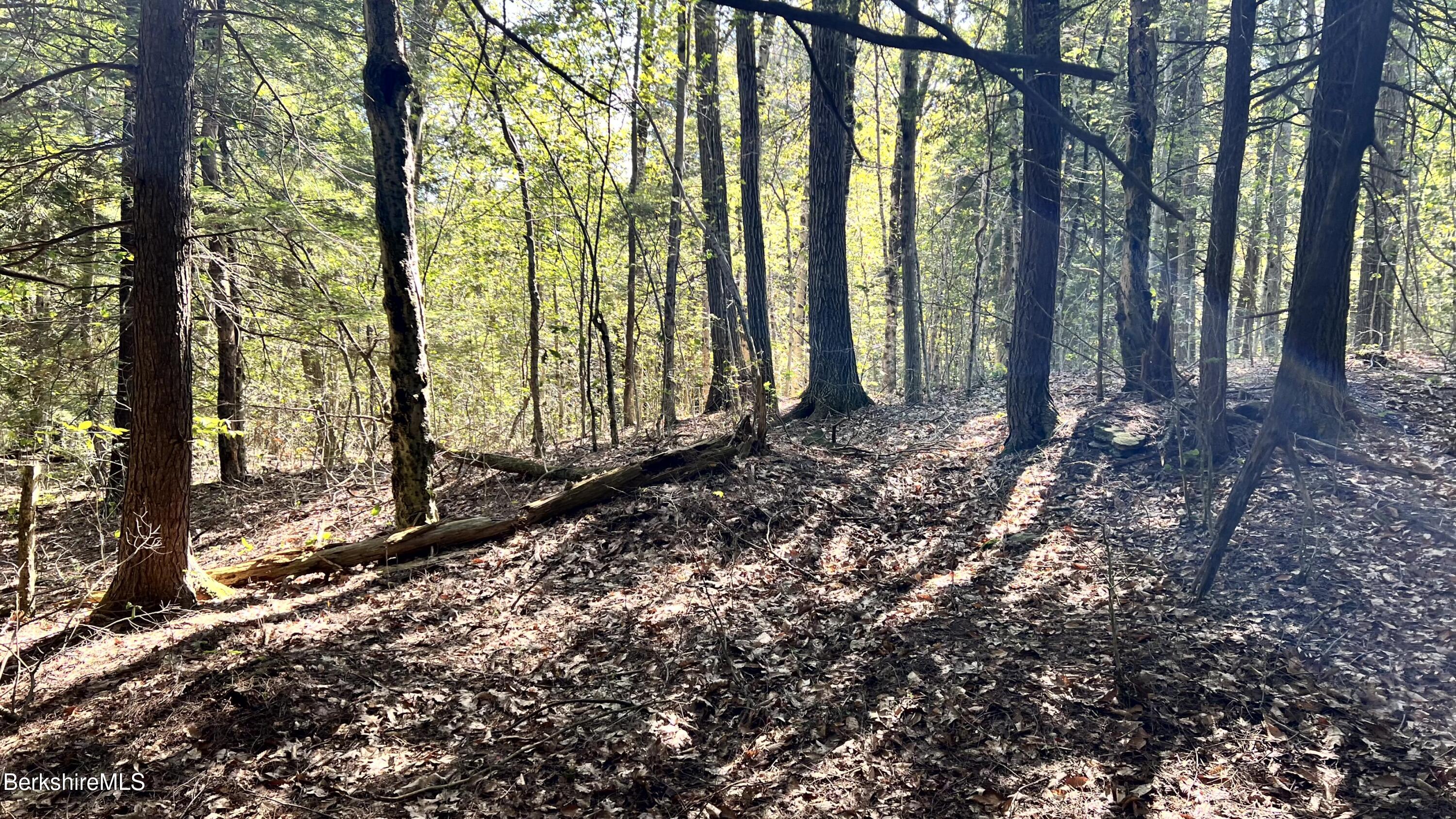 8 Hemlock Road Tyringham, MA 01264 - Photo 18 of 31 IMG_6928