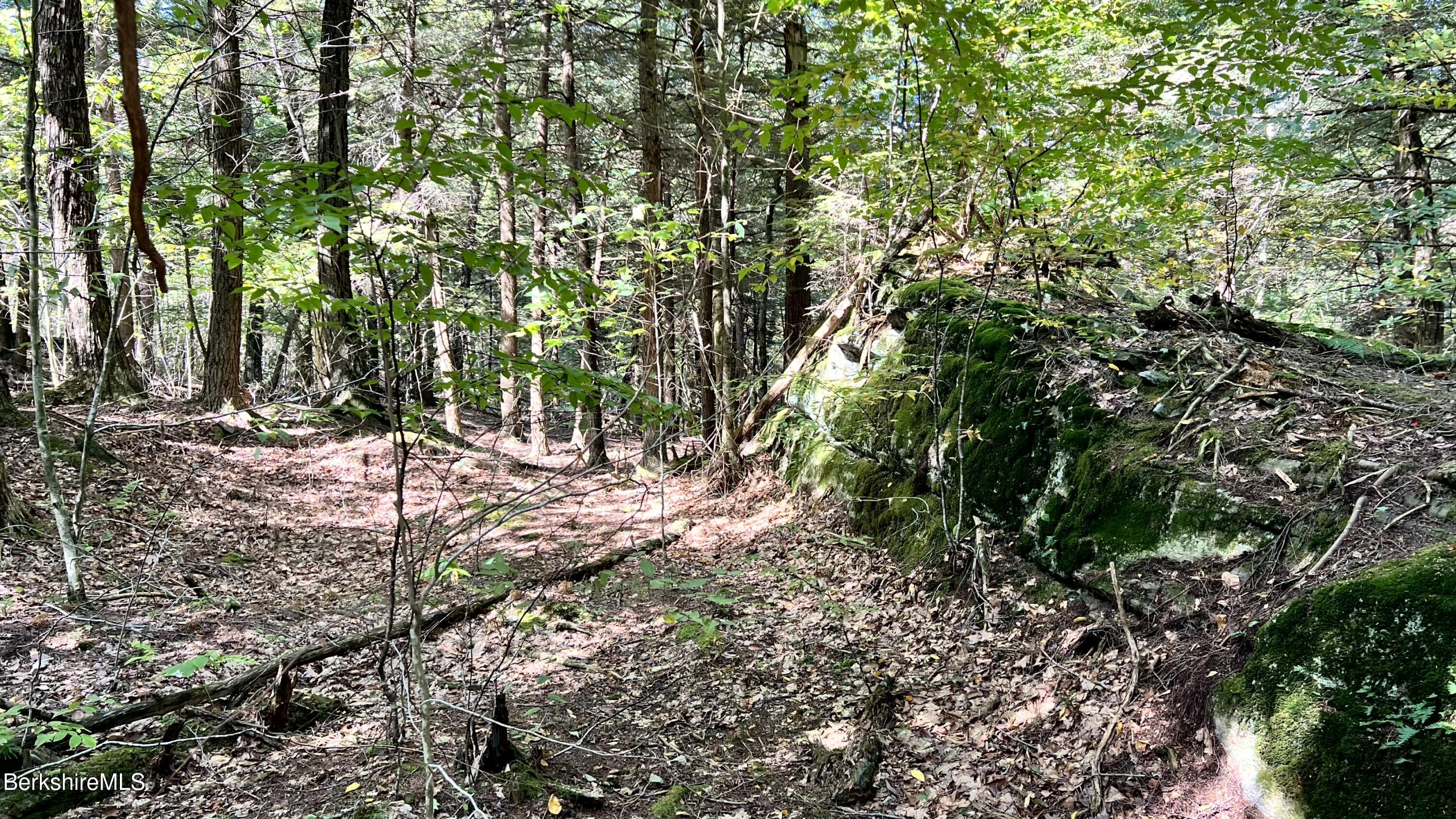 8 Hemlock Road Tyringham, MA 01264 - Photo 19 of 31 IMG_6927