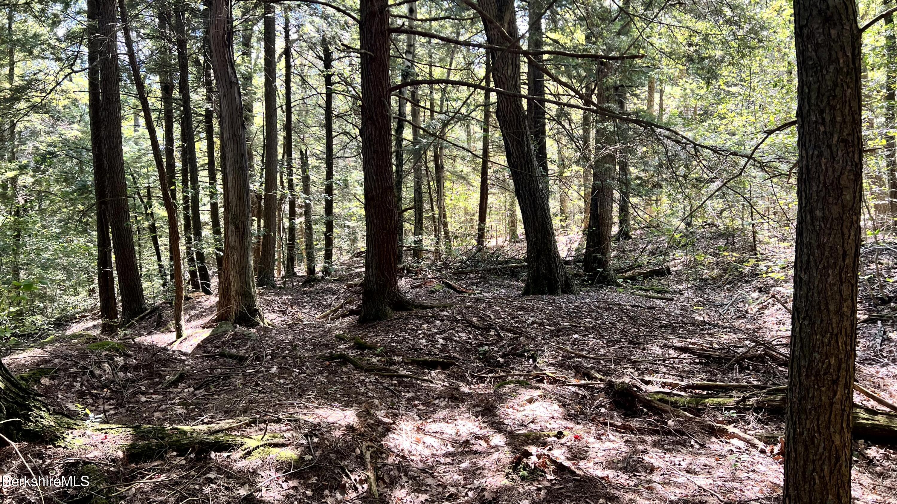 8 Hemlock Road Tyringham, MA 01264 - Photo 20 of 31 IMG_6926