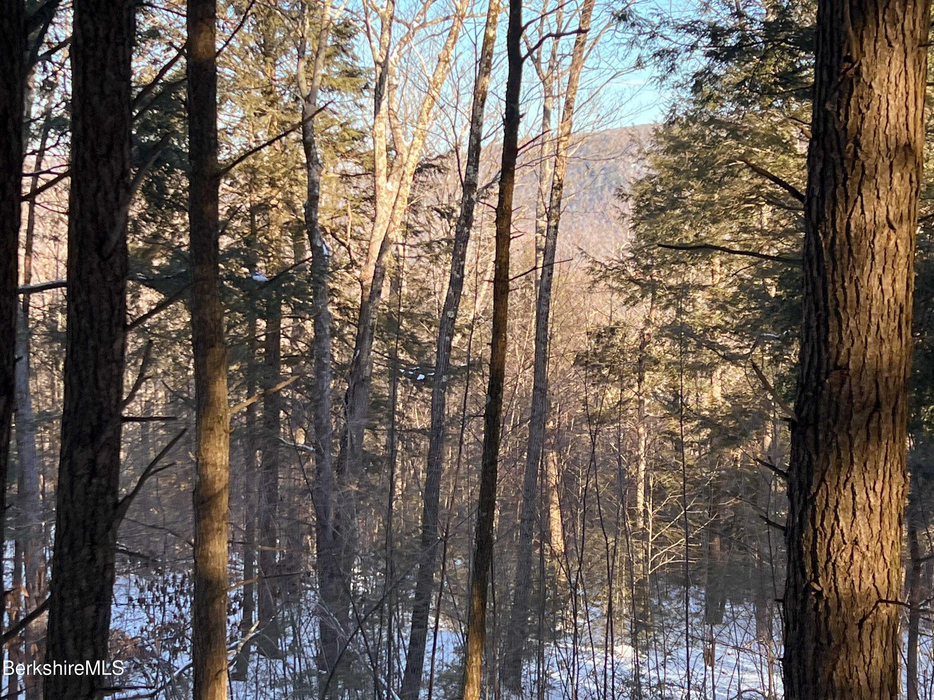 8 Hemlock Road Tyringham, MA 01264 - Photo 2 of 31 IMG_8512