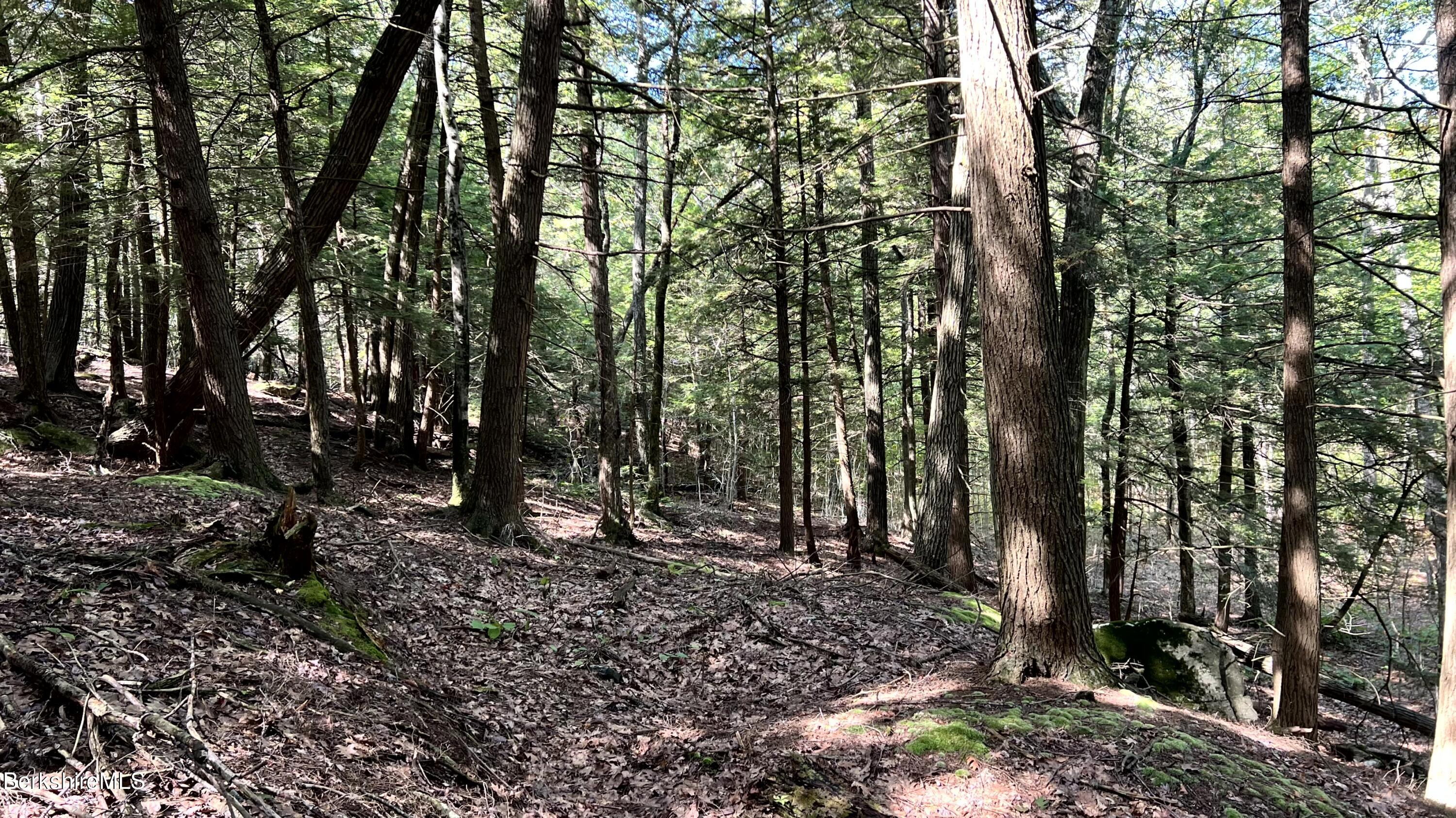 8 Hemlock Road Tyringham, MA 01264 - Photo 21 of 31 IMG_6925