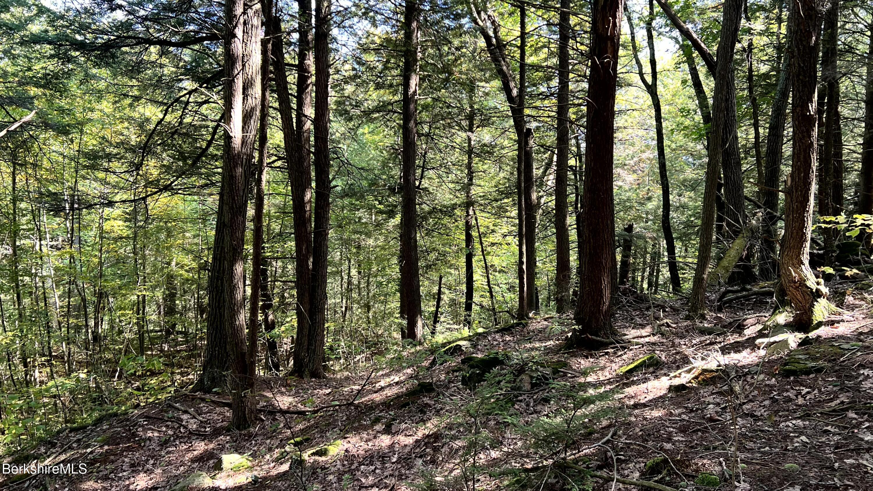 8 Hemlock Road Tyringham, MA 01264 - Photo 23 of 31 IMG_6923