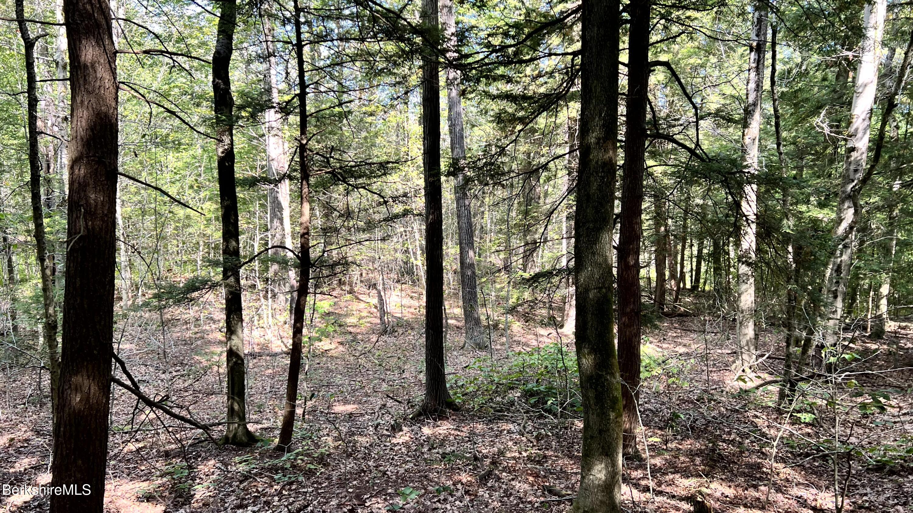 8 Hemlock Road Tyringham, MA 01264 - Photo 24 of 31 IMG_6922