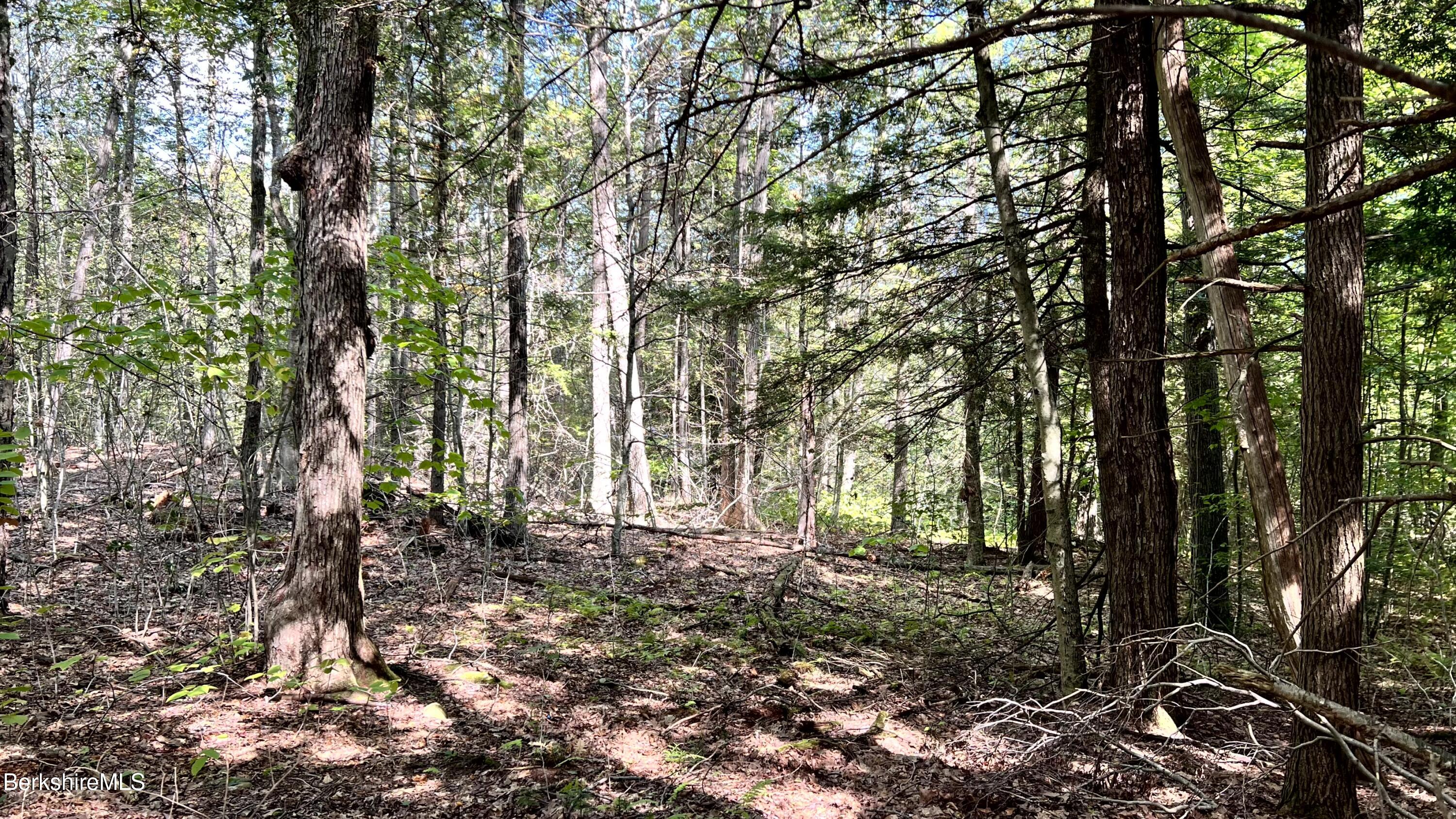 8 Hemlock Road Tyringham, MA 01264 - Photo 25 of 31 IMG_6921