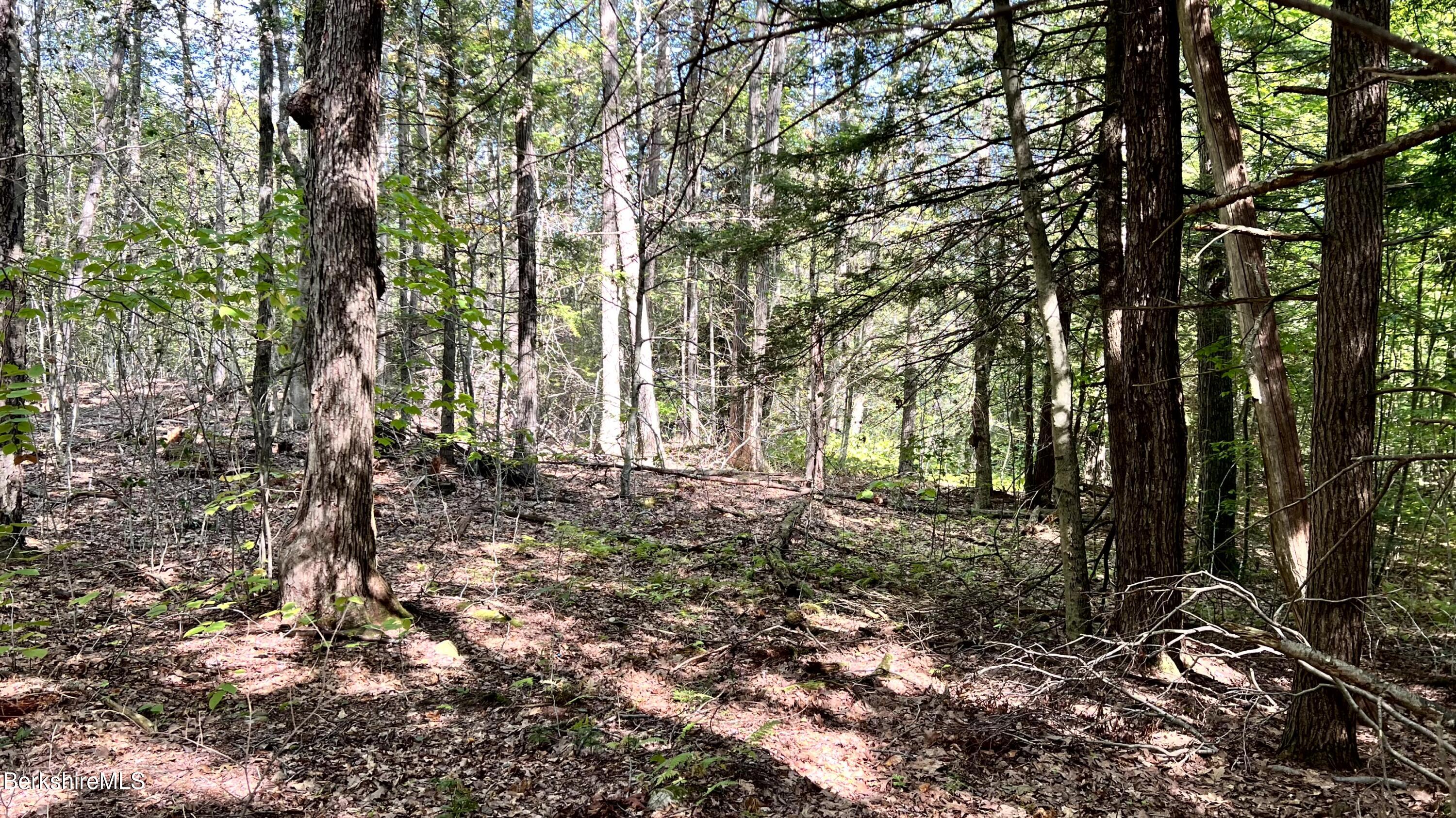 8 Hemlock Road Tyringham, MA 01264 - Photo 26 of 31 IMG_6920