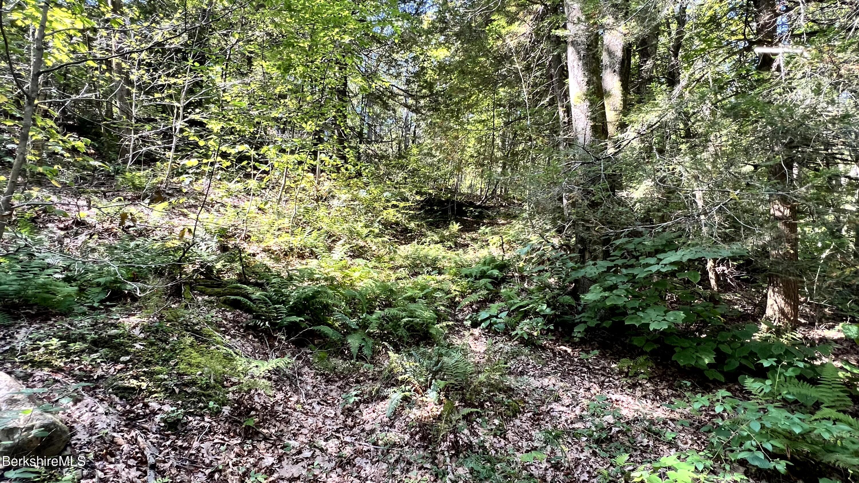 8 Hemlock Road Tyringham, MA 01264 - Photo 27 of 31 IMG_6918