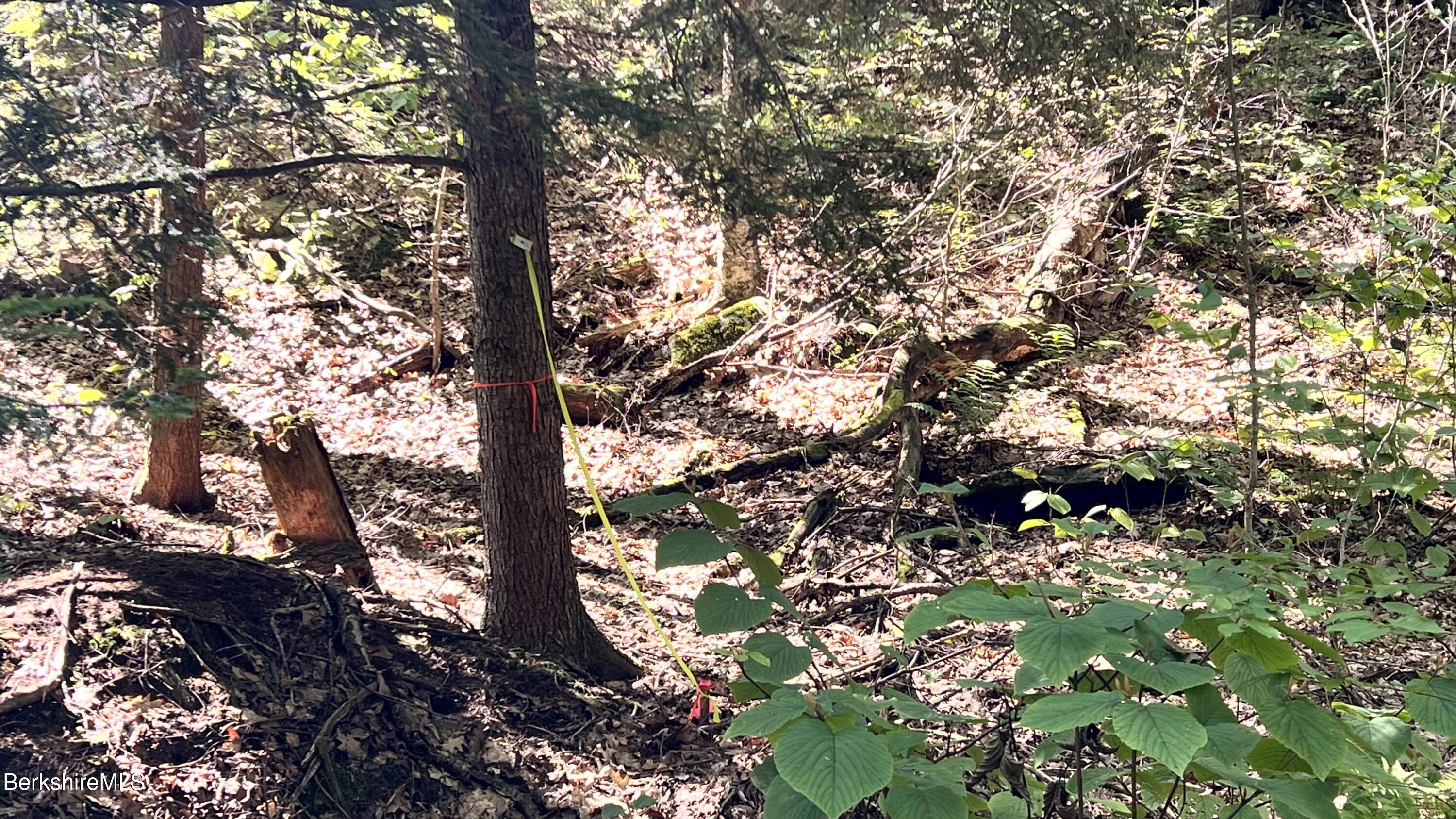 8 Hemlock Road Tyringham, MA 01264 - Photo 29 of 31 IMG_6915