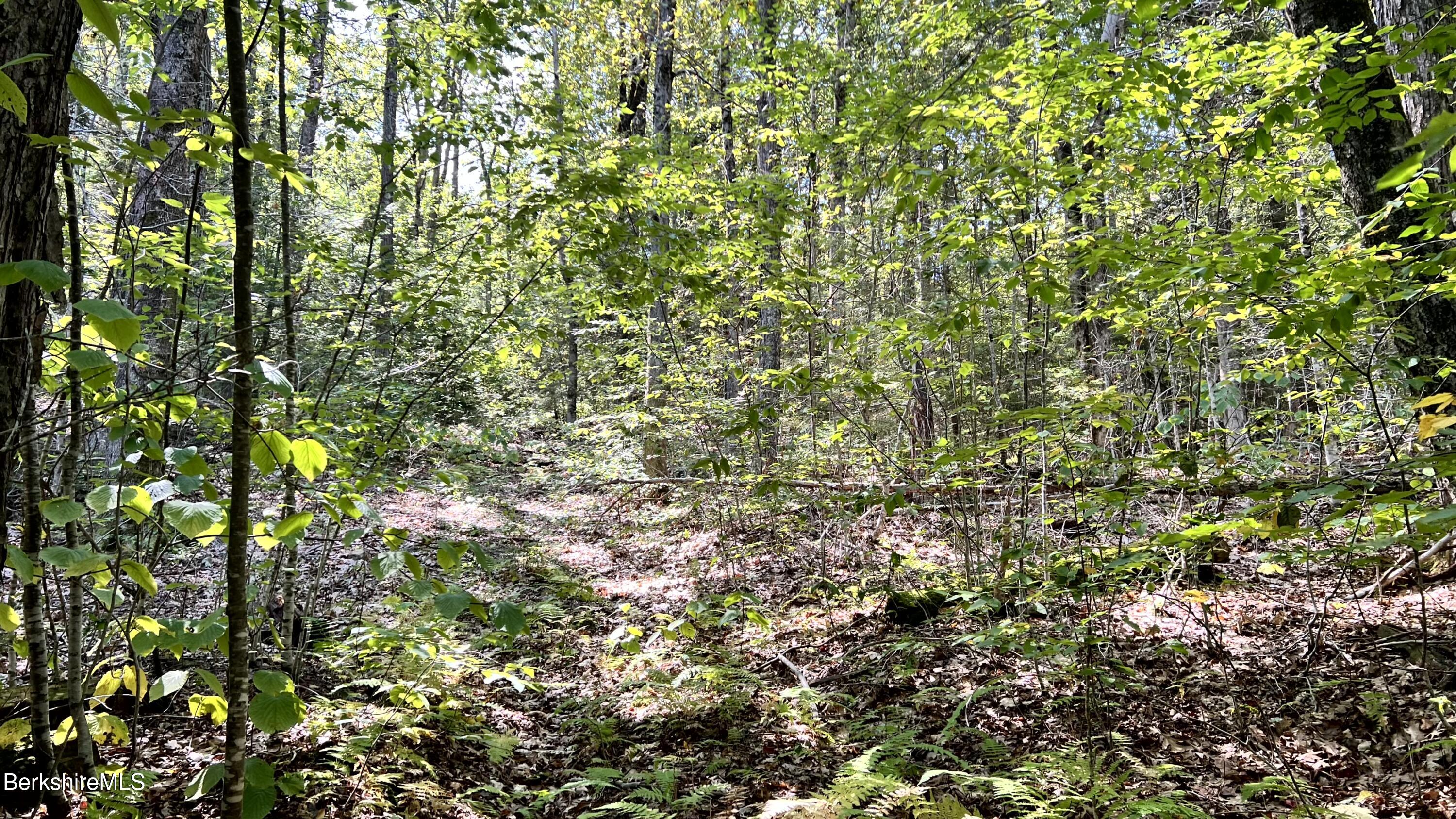 8 Hemlock Road Tyringham, MA 01264 - Photo 3 of 31 IMG_6943