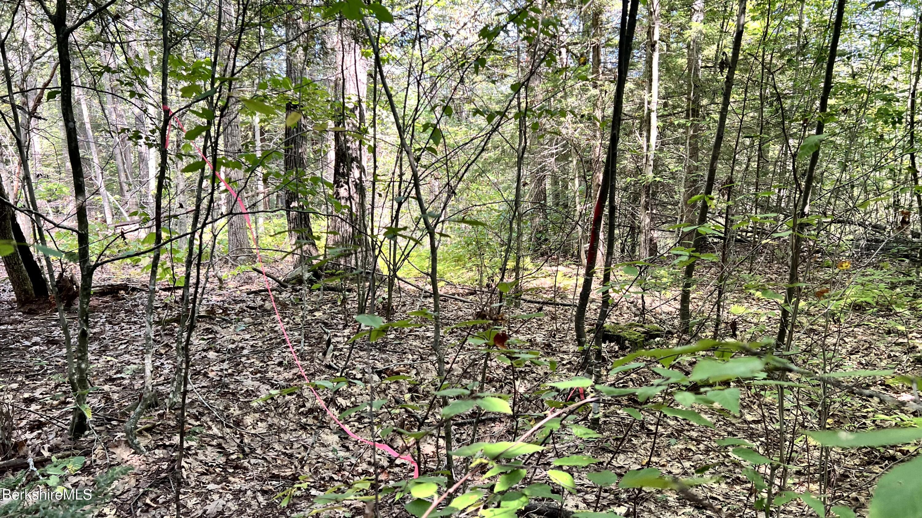 8 Hemlock Road Tyringham, MA 01264 - Photo 5 of 31 IMG_6941